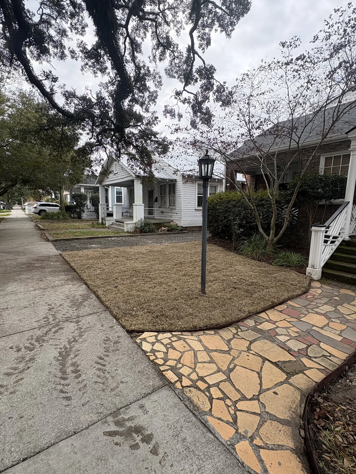 Low-Maintenance Turf in Ravenel SC